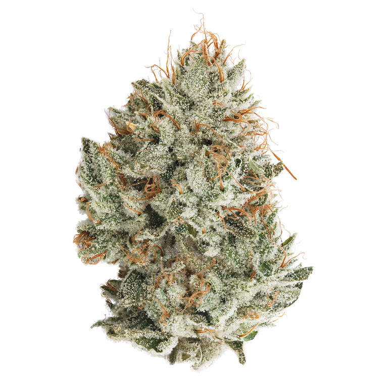 Runtz cannabis from Old Growth Farms Humboldt